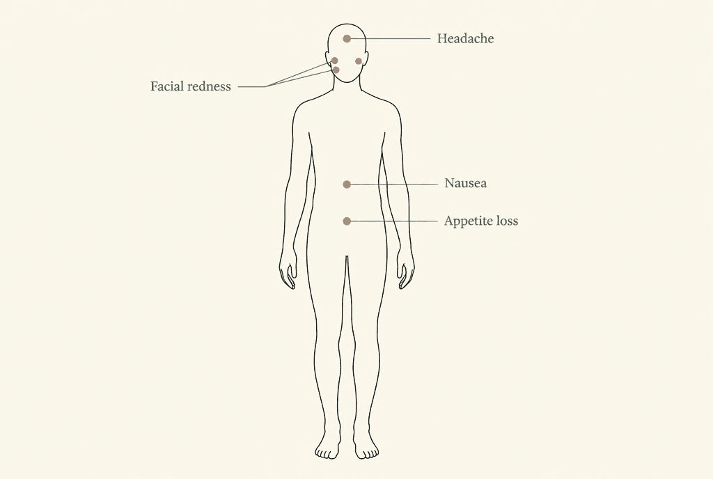 Diagram: a plain human outline with four marked areas labelled Headache, Facial redness, Nausea and Appetite loss.