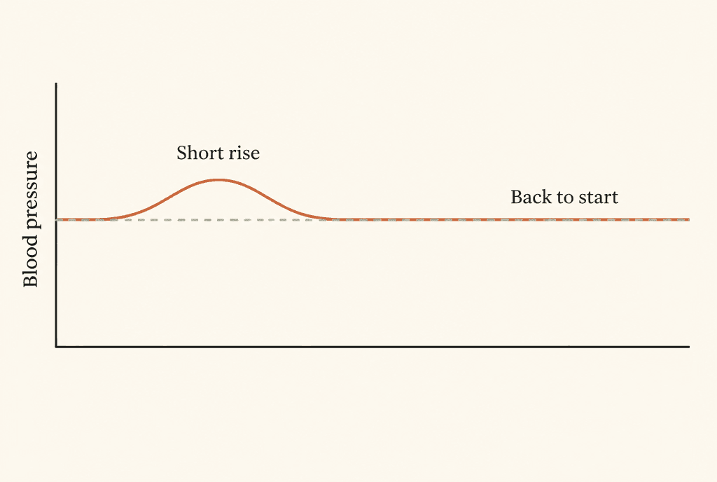 Line chart in which a line rises to a small hump and then returns to its starting level. Labels read Blood pressure, Short rise and Back to start.