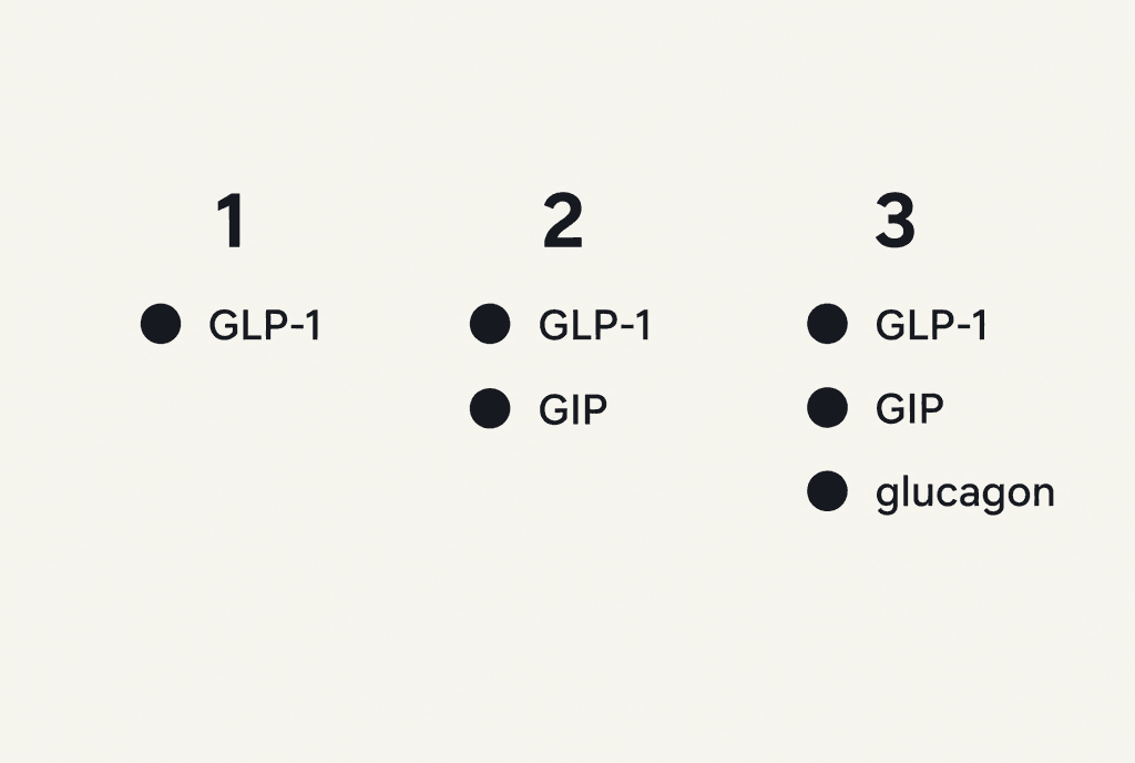 Three columns numbered 1, 2 and 3, holding one, two and three identical dots. Column 1: GLP-1. Column 2: GLP-1 and GIP. Column 3: GLP-1, GIP and glucagon.