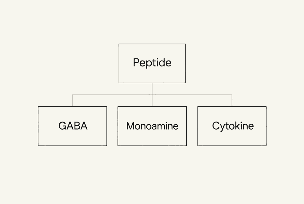 One box labelled Peptide joined by three lines to three boxes labelled GABA, Monoamine and Cytokine.