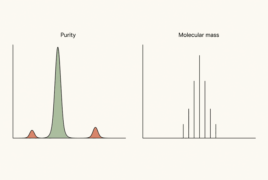 Two separate conceptual graphs: a peak-area graph labelled Purity and a signal-line graph labelled Molecular mass. Neither graph has numerical values.